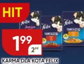 karma dla kota