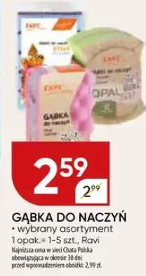 Gąbka do naczyń Ravi