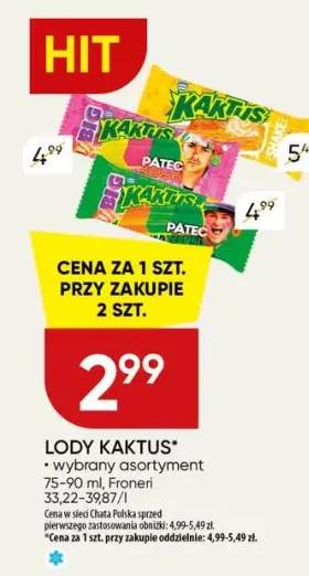 Lody kaktus wybrany asortyment