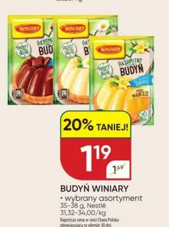 Budyń Winiary wybrane asortymenty