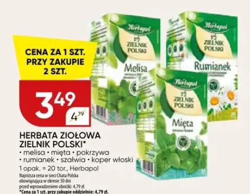 Herbata ziołowa zielnik polski melisa, mięta, pokrzywa, rumianek, szałwia, koper włoski