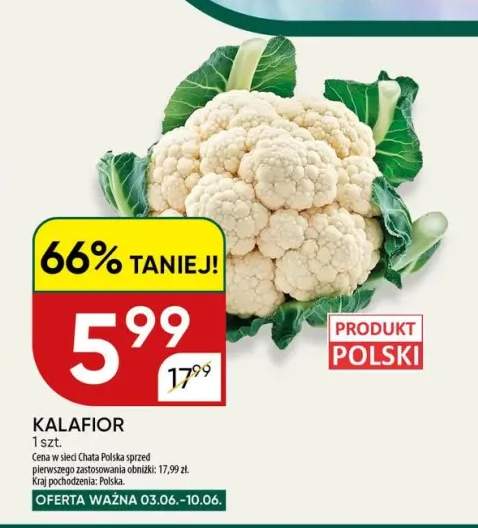 Kalafior polski