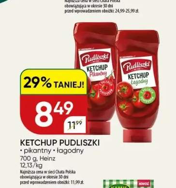 Ketchup Pudliszki pikantny