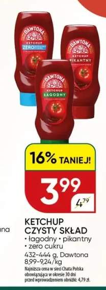 Ketchup łagodny Czysty Skład Dawtona +2 warianty