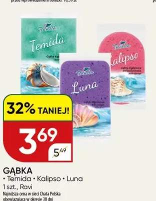 Gąbka Ravi Temida +2 warianty
