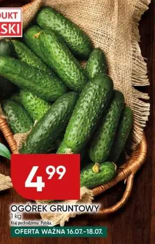 Ogórek gruntowy polski